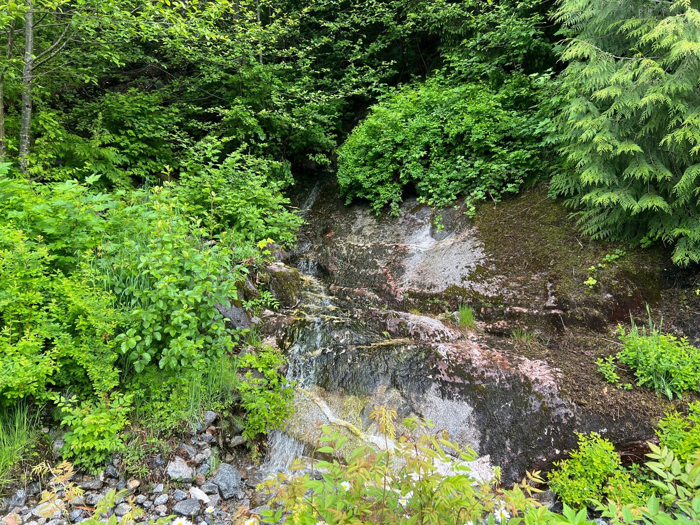 Spring water cascading down the rock face next to the road between Ocean Falls and Martin Valley