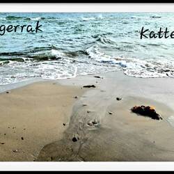 Grenen...