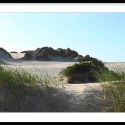 Råbjerg Mile ....Dänemarks größte Wanderdüne liegt nicht weit von Skagen entfernt.