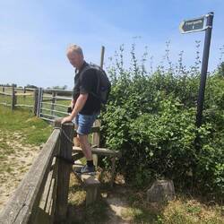 Wanderwege mit Übersteigen über Weidezäune...
