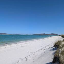 Sind wir schon in der Karibik oder noch in Schottland?