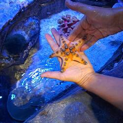 Aquarium