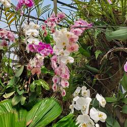 Im Botanischen Garten