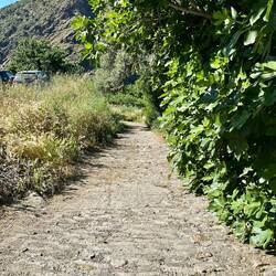 Path to the ...