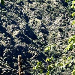... Escarigüela de Busquistar, medieval switchback stone stairways to cross the Río Trevélez