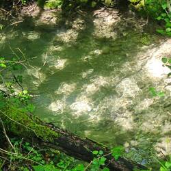 Torrente Corezzo