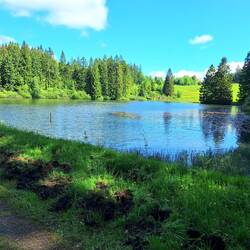 Neuer Grumbacher Teich
