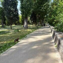 This is a beautiful park. It goes on for miles. I just wanted it to end.