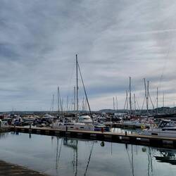Hafen in Torquay