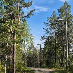 Wandern mit 🐕. Im Winter beleuchtete Loipe und im Sommer bequemer Wanderweg.