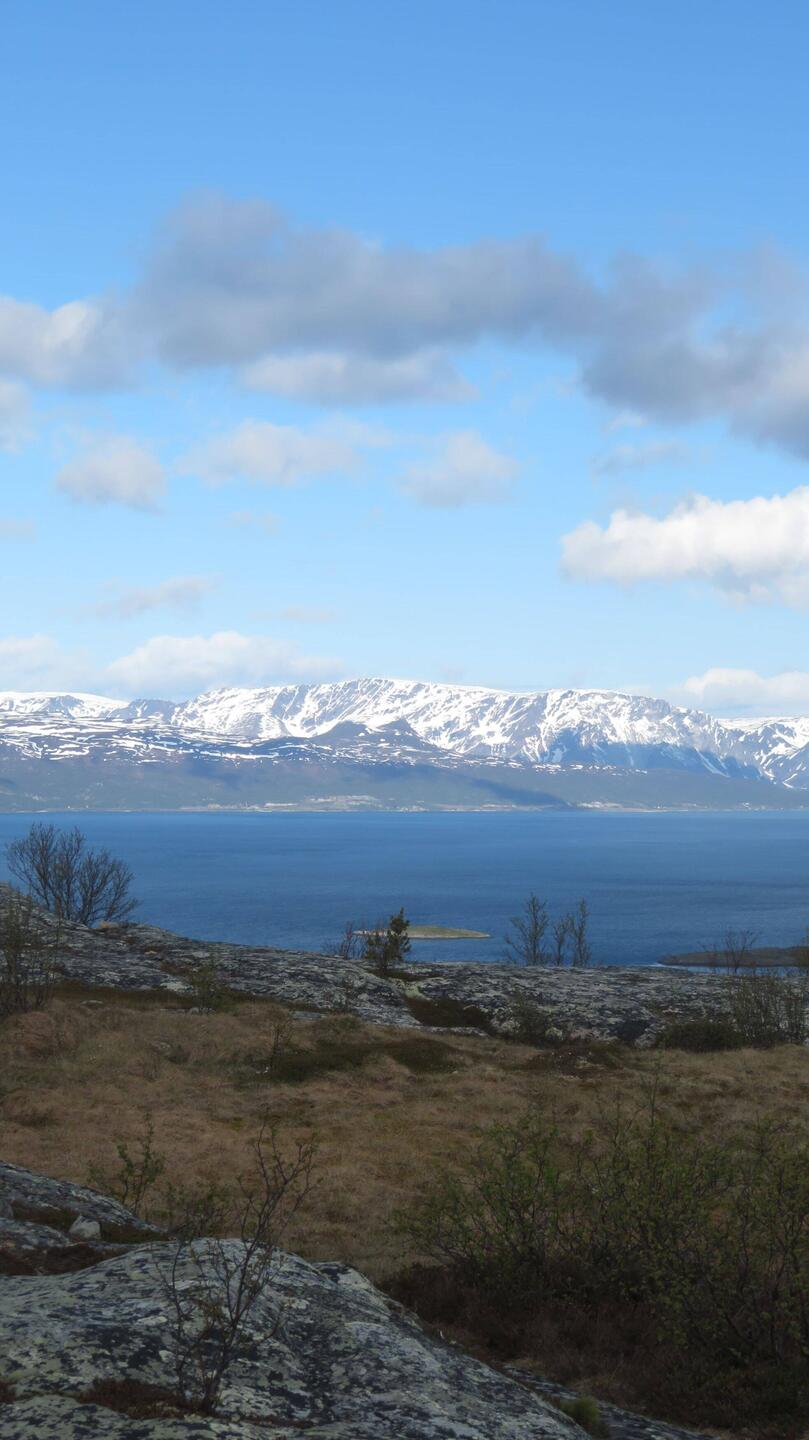 Ausblick vom Komsatoppen
