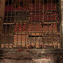 The family's private reserve with 5,000+ bottles