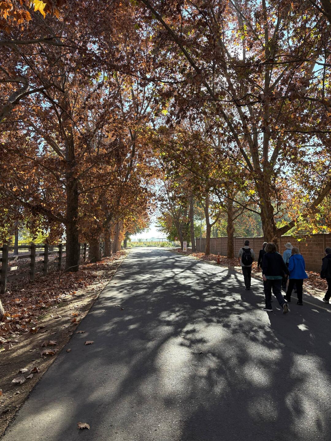 Definitely fall at the winery