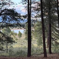 The view from my campsite
