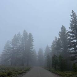 Misty morning
