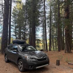 My campsite in the national forest. It smelled amazing! Chilly night, though.
