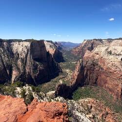 Observation point