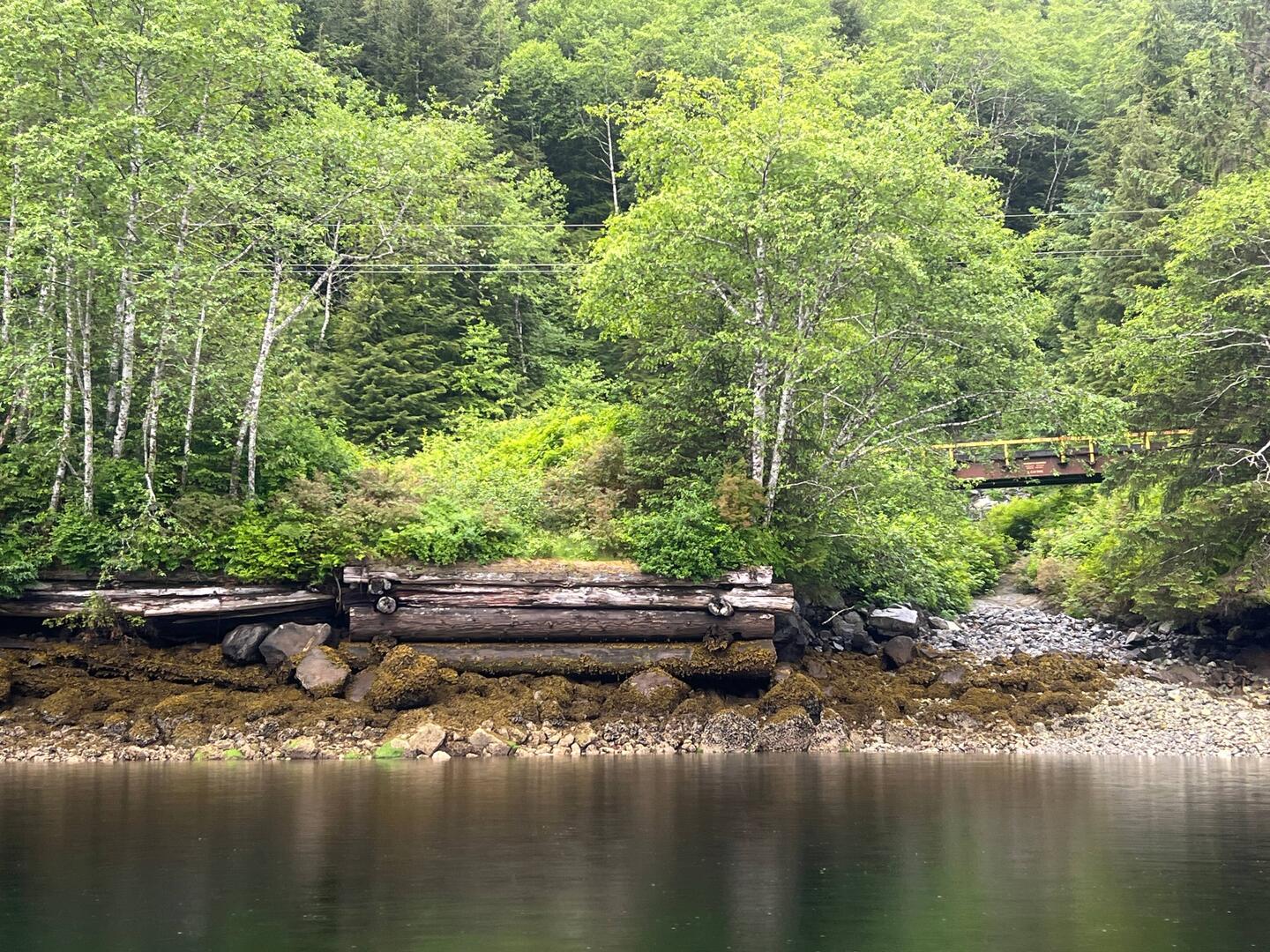Old logging dock of some sort. Bridge in background to right.