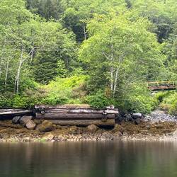 Old logging dock of some sort. Bridge in background to right.