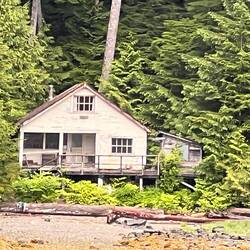 Fairly large cabin. Doesn't look lived in anymore.
