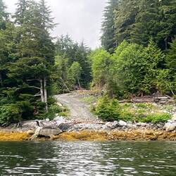 Old logging road coming down to the water near Frenchman Creek.