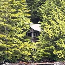 Cabin in the trees