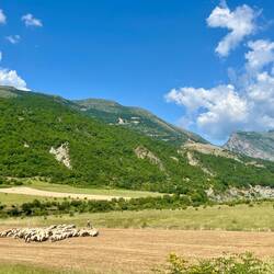 Paysages de Permët avant de descendre dans les gorges
