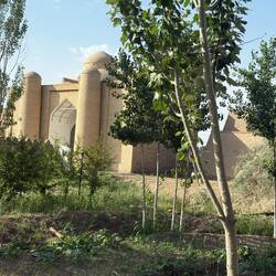 View of outer walls of Khiva from our hotel room