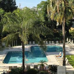 Tom enjoying the hotel pool all to himself 🌞.