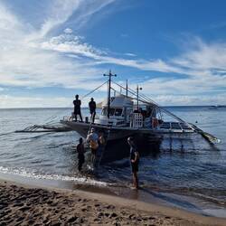 Apo Island Tagesausflug