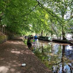 Lovely and cool in the shade. The gangplank was required though!