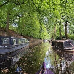 Another sunken boat at Uppermill. Beech flowers littered the water & path. Leo's legs were covered!