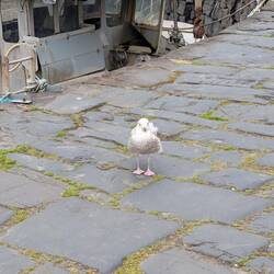 May I help you?