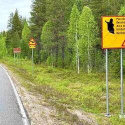 ... rund um Suomussalmi ist riesig – rund 3'500 km²