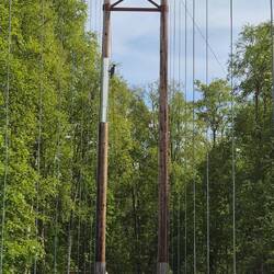 Auf zur Wanderung durch das Naturreservat im Umeälvens delta.