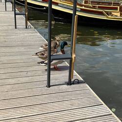 Begrüßungskommitee