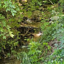 Torrente Fiumicello