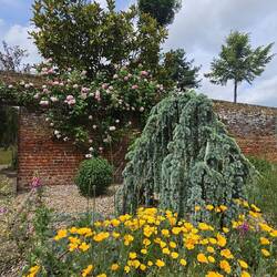 Im Weltengarten von Lullingstone Castle