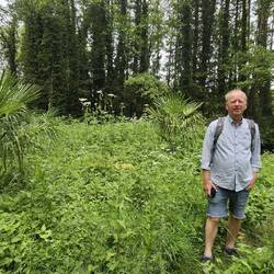 In der Wildnis bei Lullingstone...