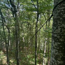 Seilakt