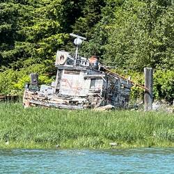 An old tug at the Tallheo Cannery