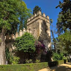 The Real Alcázar (gardens)