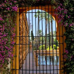 The Real Alcázar (gardens)