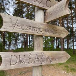 Hier geht's zu den Klippen.