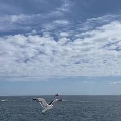 Wetter gut, Nordsee ruhig 👍