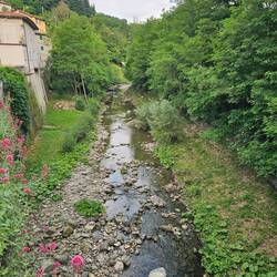 Arno river