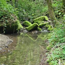 Fosso di Pian d'Oppi