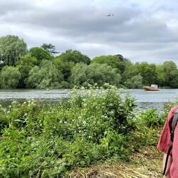 Thames Path zwischen Ham und Richmond