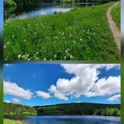 Der idyllische große Kellerhalsteich