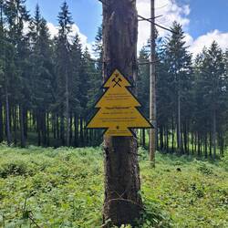 Die Dennert-Tanne informiert im Harz über ehemaligen Bergbau